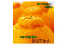 【先行予約】こだわり農家の濃厚不知火（デコポンと同品種） 15～24玉（約5kg）| デコポン 不知火 でこぽん しらぬい 柑橘 5kg 果実 フルーツ 先行予約 冬 農家直送 濃厚 ※北海道・沖縄・離島への配送不可※2026年2月上旬～3月下旬頃に順次発送予定