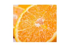 【先行予約】【農家直送】濃厚不知火（ご家庭用）約5kg ※2026年1月下旬～3月下旬頃に順次発送予定 ※北海道・沖縄・離島への配送不可