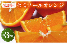 【先行予約】【春の美味】【農家直送】爽快カンキツ　セミノールオレンジ（ご家庭用）約3kg
｜柑橘 フルーツ 果物 くだもの 食品 人気 おすすめ 選べる 国産 美浜町
※2025年4月上旬～4月下旬頃に順次発送予定
※沖縄・離島への配送不可