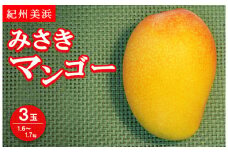 紀州美浜みさきマンゴー3玉（1.6～1.7kg）
※着日指定不可
※離島への配送不可
※2023年7月中旬～8月下旬頃に順次発送予定