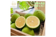 【先行予約】【国産】農家直送！ 有田レモン 2kg◇ ※北海道・沖縄・離島への配送不可 ※2025年9月下旬～2026年3月下旬頃に順次発送予定