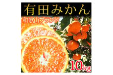 完熟有田みかん10kg ふるさと納税 ミカン※2025年11月下旬〜2026年1月下旬頃に順次発送予定