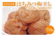 《紀州南高梅》はちみつ梅干し つぶれ梅(ご家庭用訳あり) 750g ふるさと納税 梅干し