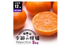 定期便/毎月配送/全12回】厳選・和歌山の季節の柑橘5kg農家直送フルーツ定期便 | 有田 みかん 蜜柑 オレンジ 八朔 せとか ポンカン セミノール バレンシア いよかん 不知火※北海道・沖縄・離島への配送不可