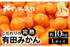 ＼光センサー選別／完熟有田みかんＬサイズ　約10kg 有機質肥料100%ふるさと納税 ミカン ※2024年11月中旬頃～2025年1月上旬頃に順次発送予定※着日指定不可※沖縄・離島への配送不可