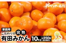＼光センサー選別／こだわりの完熟有田みかん 10kg＋250g(傷み補償分) 【ご家庭用】サイズ混合 有機質肥料100%◆ ｜ みかん 有田みかん 温州みかん ミカン 温州ミカン 柑橘みかん 甘いみかん みかんコク  完熟有田みかん 完熟温州みかん 完熟有田ミカン 柑橘類みかん 有機肥料みかん 産地直送 ※2025年11月中旬～2026年1月上旬頃に順次発送予定 ※北海道・沖縄・離島への配送不可