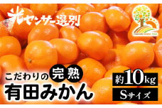 ＼光センサー選別／完熟有田みかんSサイズ 約10kg 有機質肥料100%※2024年11月中旬頃より順次発送予定※沖縄・離島への配送不可 ふるさと納税 みかん