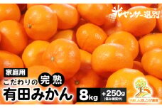 ＼光センサー選別／こだわりの完熟有田みかん 8kg＋250g(傷み補償分) 【ご家庭用】サイズ混合  有機質肥料100%◆ ｜ ふるさと納税 ミカン ※2025年11月中旬～2026年1月上旬頃に順次発送予定 ※北海道・沖縄・離島への配送不可