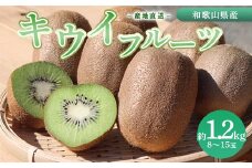 和歌山産 キウイフルーツ 約1.2kg 秀品 ※2026年1月下旬～3月中旬頃に順次発送予定 ※北海道・沖縄・離島への配送不可