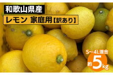 和歌山産 レモン 家庭用 5kg S～4L混合 訳あり ※2026年1月中旬～3月下旬頃に順次発送予定 ※北海道・沖縄・離島への配送不可