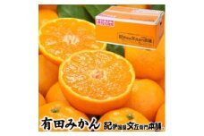 ブランド有田みかん【Ｌ】秀品10kg ｜ 産地直送 薄皮 甘い 美味しい 和歌山県産/紀伊国屋文左衛門本舗 ふるさと納税 ミカン ※2025年11月上旬～2026年1月中旬頃に順次発送予定