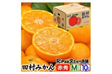 田村みかん/特選ギフト品10kg【Mサイズ】赤秀｜湯浅町田村地区産 産地直送 最高級プレミアムブランドの田村ミカン 紀伊国屋文左衛門本舗
※2025年11月下旬～2026年1月中旬頃に順次発送予定