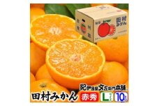 田村みかん/特選ギフト品10kg【Lサイズ】赤秀｜湯浅町田村地区産 産地直送 最高級プレミアムブランドの田村ミカン 紀伊国屋文左衛門本舗
※2025年11月下旬～2026年1月中旬頃に順次発送予定 ふるさと納税 ミカン