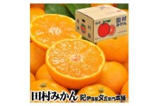 田村みかん/特選ギフト品3kg【サイズおまかせ】赤秀/湯浅町田村地区産/産地直送/最高級プレミアムブランドの田村ミカン/紀伊国屋文左衛門本舗
※2025年11月下旬～2026年1月中旬頃に順次発送予定
