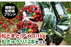 【煙樹の松野菜ブランド】
松とまと（アイコ）松きゅうりセット ※2024年11月中旬～2025年6月上旬頃に順次発送予定