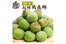 ＜6月発送＞厳選  紀州南高梅(青梅)5kg+150g（傷み補償分）〇【朝摘み・とれたて直送便】【梅干し・梅酒・梅ジュース】【和歌山産】※2025年6月上旬～6月下旬頃に順次発送予定　※北海道・沖縄・離島への配送不可