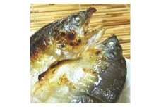 【大人気】「旨いはずです。」特選あゆ一夜干しセット（１３枚入）※北海道・沖縄・離島へのお届け不可