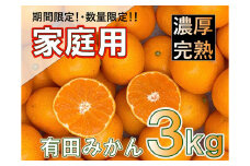 北真農園 有田みかん 家庭用 3kg 濃厚完熟 お試しサイズ ORYY推奨 ※2025年11月上旬～12月下旬頃に順次発送予定