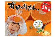 はじめまして 有田みかん（和歌山県産） お試し3kg【数量限定】/ORYY推奨 ※2025年11月上旬～12月下旬頃に順次発送予定