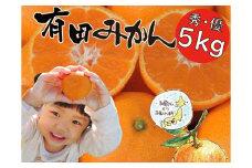 はじめまして 有田みかん（和歌山県産）お試し5kg【数量限定】/ORYY推奨 ※2025年11月上旬～12月下旬頃に順次発送予定