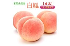 ≪秀品≫和歌山県産 白鳳 5～8玉入り |産地直送 桃 果物 フルーツ もも
※離島への配送不可
※2024年6月下旬～7月中旬頃に順次発送予定