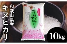 【先行予約】和歌山県産キヌヒカリ 10kg(2025年産) ｜米 コメ こめ 和歌山※2025年9月中旬頃より順次発送予定