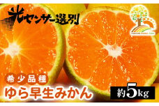  ゆら早生 みかん 濃厚な味わい 約5kg 希少品種《有機質肥料100％》極早生 ｜ 由良 ゆら 早生 わせ 柑橘 果物 くだもの フルーツ 和歌山 有田 ※2025年10月上旬～11月中旬頃に順次発送予定 ※北海道・沖縄・離島への配送不可