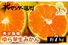 ゆら早生 みかん 濃厚な味わい 約7kg 希少品種《有機質肥料100％》極早生 ｜ 由良 ゆら 早生 わせ 柑橘 果物 くだもの フルーツ 和歌山 有田 ※2025年10月上旬～11月中旬頃に順次発送予定 ※北海道・沖縄・離島への配送不可
