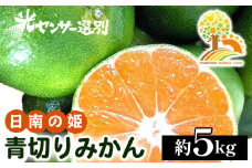 こだわりの青切りみかん 約5kg 農家直送 有機質肥料 100% サイズ混合 ｜ みかん 柑橘 果物 くだもの 果実 フルーツ 和歌山 有田 ※北海道・沖縄・離島への配送不可 ※2025年9月下旬～10月上旬頃に順次発送予定