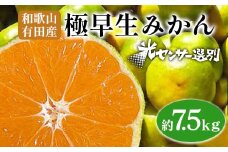 こだわりの極早生みかん 約7.5kg 農家直送 有機質肥料100% サイズ混合 ｜ みかん 極早生 早生 柑橘 果物 くだもの 果実 フルーツ 和歌山 有田 ※北海道・沖縄・離島への配送不可 ※2025年9月下旬～10月中旬頃に順次発送予定