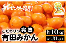 有田みかん 約10kg 大玉3L以上 有機質肥料100% ＼光センサー選別／ 農家直送 ※北海道・沖縄・離島への配送不可 ※2025年11月中旬～2026年1月上旬頃に順次発送予定