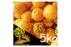 こだわりのデコポン不知火 約5kg◇ 有機質肥料100%〈先行予約受付〉＼光センサー選別／ ｜ 柑橘 不知火 デコポン みかん フルーツ 果物 旬 先行予約 国産 産地直送 人気 美浜町　※2025年2月中旬～3月中旬頃に順次発送予定 ※沖縄・離島への配送不可