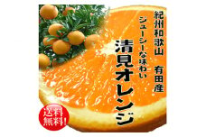 果汁たっぷり！清見オレンジ 約10kg 有機質肥料100%〈先行予約受付〉＼光センサー選別／ ※2025年3月上旬～3月下旬頃に順次発送予定 ※沖縄・離島への配送不可