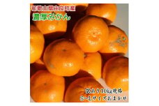 【訳あり・ご家庭用】和歌山由良町産のみかん約10kg
※2023年12月上旬～12月下旬頃に順次発送予定
