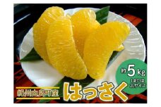 紀州由良町産はっさく（Lまたは2Lサイズ） 約5kg ※着日指定不可 ※2024年2月下旬～4月下旬頃に順次発送予定
