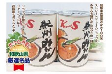 【2025年3月中旬より発送予定】紀州のみかん缶詰（みかん果汁入りシラップ）435g×12缶セット◇｜柑橘 かんきつ フルーツ 果物 蜜柑 缶詰 みかん 常温保存 防災 非常食 キャンプ アウトドア 美浜町