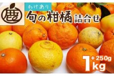 ＜1月より発送＞家庭用 柑橘詰合せ1kg+250g（傷み補償分）◇【訳あり・わけあり】【有田の春みかん詰め合わせ・フルーツ詰め合せ・オレンジつめあわせ】【光センサー選別】 ※北海道・沖縄・離島への配送不可 ※2026年1月上旬～4月下旬頃に順次発送予定