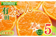 【ご家庭用】和歌山有田みかん約5kg(2L、3Lサイズ)〇  | ご家庭用みかん 有田みかんみかん 5kgみかん 2Lみかん 3Lみかん 和歌山みかん ミカン 蜜柑 箱みかん 温州みかん 有田みかんお取り寄せ 家庭用みかんお取り寄せ みかんお取り寄せ 完熟みかん 完熟有田みかん ※北海道・沖縄・離島への配送不可 ※2025年11月上旬～2026年1月下旬頃に順次発送予定