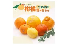 ＜1月より発送＞家庭用 柑橘詰合せ2.5kg+250g（傷み補償分）◇【訳あり・わけあり】【有田の春みかん詰め合わせ・フルーツ詰め合せ・オレンジつめあわせ】【光センサー選別】 ※北海道・沖縄・離島への配送不可 ※2026年1月上旬～4月下旬頃に順次発送予定