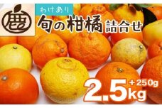 ＜1月より発送＞家庭用 柑橘詰合せ2.5kg+250g（傷み補償分）◇【訳あり・わけあり】【有田の春みかん詰め合わせ・フルーツ詰め合せ・オレンジつめあわせ】【光センサー選別】 ※北海道・沖縄・離島への配送不可 ※2026年1月上旬～4月下旬頃に順次発送予定