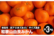和歌山由良みかん　約３kg　訳あり　家庭用キズあり　サイズ混合
※離島への配送不可
※2024年11月下旬～2025年1月中旬頃までに順次発送予定