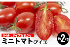ミニトマトアイコ(松トマト）約2kg（S・M・Lサイズおまかせ）◇ ※2026年1月中旬～6月下旬頃に順次発送予定