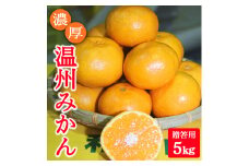 濃厚温州みかん贈答用5kg（和歌山天田みかん）◆ みかんの産地和歌山　北村農園直送 ※2025年12月上旬頃より順次発送予定