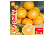 濃厚温州みかんご家庭用10kg（和歌山天田みかん）◆ みかんの産地和歌山　北村農園直送 ※2025年12月上旬頃より順次発送予定