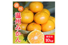 濃厚温州みかん贈答用10kg（和歌山天田みかん）◆ みかんの産地和歌山　北村農園直送 ※2025年12月上旬頃より順次発送予定
