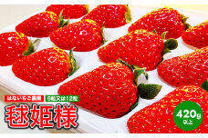 はないちご農園「毬姫様」9粒または12粒
※着日指定不可
※北海道・沖縄・離島への配送不可
※2025年1月上旬～2月下旬頃に順次発送予定
