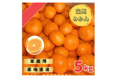 宮川早生みかんご家庭用　5kg箱入 | みかん 早生みかん 早生 訳あり わけあり 旬 柑橘 フルーツ 果物 果実 ミカン 産地直送 ※2025年11月下旬～12月中旬頃に順次発送予定
