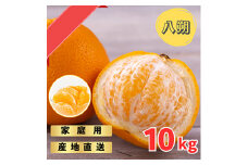 完熟木なりハッサクみかんご家庭用　10kg箱入 | はっさく みかん 八朔 訳あり わけあり 旬 柑橘 フルーツ 果物 果実 ミカン 産地直送 ご家庭用 ※2025年3月中旬～4月中旬頃に順次発送予定