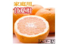 ＜4月より発送＞厳選 甘夏柑10kg+250g（傷み補償分）◇【初夏のみかん・旬の果物】【有田産】【光センサー食べ頃出荷】 ※北海道・沖縄・離島への配送不可 ※2026年4月上旬～5月下旬頃に順次発送予定