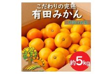 ＼農家直送／こだわりの完熟有田みかん 約5kg 有機質肥料100%※2024年11月中旬～2025年1月上旬頃に順次発送予定※沖縄・離島への配送不可